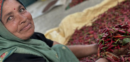 Indina Farmer 3