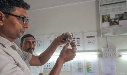 biorestiftung saatgutforschung labor