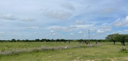 April 2024, Mwamishali, Tansania, Afrika