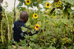 Organic Pest Control