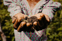 Blessed Soil