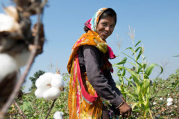 Farmer India